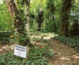 Riunione a Parco Langer, i genitori insorgono: "Seduti a terra tra le zanzare"
