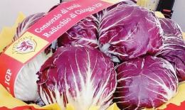 Il settore chiede trasparenza