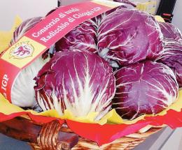 Covid, devastante per il radicchio