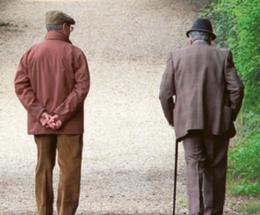 Oltre 19mila anziani polesani vivono soli