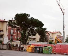 Sola, invalida e senza ascensore da settimane. ll drammatico racconto