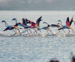 “Il Parco è più forte del virus”, positivo il bilancio della stagione turistica