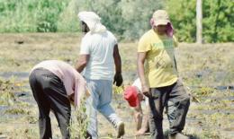 Lavoro irregolare , un 'giro' da 4,6 milioni di euro