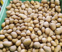 Ortaggi d’oro, rincari fino al 900%
