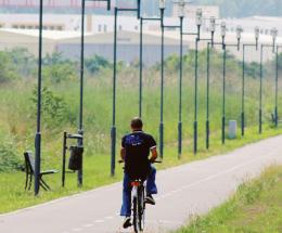Ecosostenibilità, Rovigo malissimo. Ultima in Veneto, in coda a livello nazionale