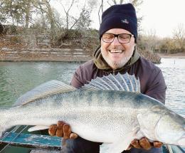 Lucioperca da record pescato nel Po