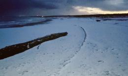 Allerta neve: nei prossimi giorni fiocchi anche a basse quote