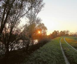 "Località Marice: comune e associazioni ambientaliste unite per la salvaguardia della sua biodiversità"