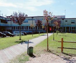 Case di riposo, in un giorno 35 nuovi positivi. 19 sono all'Iras