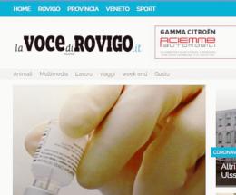 Sulla rete un anno da incorniciare