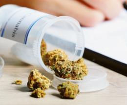 40 polesani in cura con cannabis terapeutica