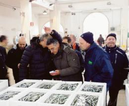 In lotta contro lo spreco alimentare