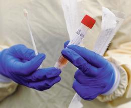 La buona notizia: "Il virus non abita più qui"