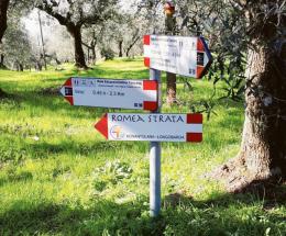 Sulle orme degli antichi pellegrini