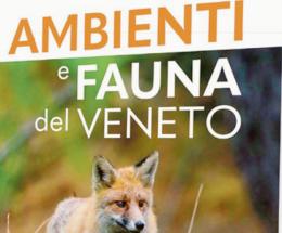 Animali e panorami del Veneto