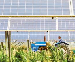 “Troppe bugie sull’agrovoltaico”