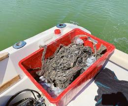 Quando le imprese tutelano il mare