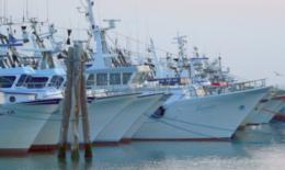 Caro carburanti, Alleanza delle Cooperative chiede sostegno al mondo della pesca
