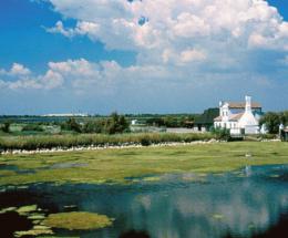 Il Parco del Delta comincia ad Occhiobello
