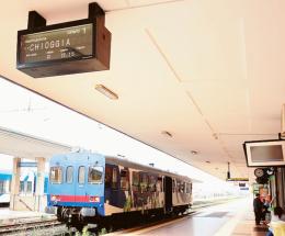 "Tra le priorità non rientra la linea Rovigo-Chioggia”