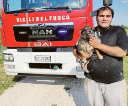 I pompieri salvano un cagnolino dall'Adige.