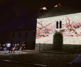 “La Rovra, simbolo del Delta”