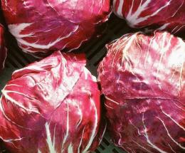 Il radicchio è vero oro rosso