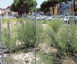 Ex Pescheria, regna l’incuria