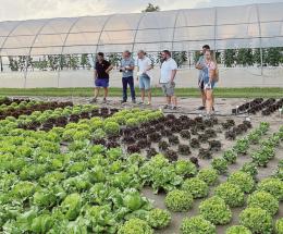 Agricoltura, tutti a lezione di...pomodori