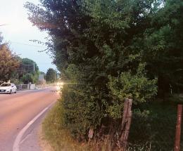 Trappole “verdi” su ciclabile e strade
