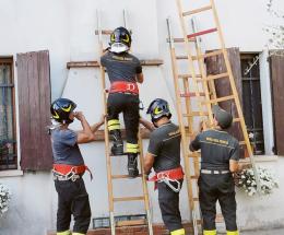 Nido di calabroni giganti: l’intervento