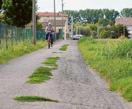 Via Pescara la vegetazione cresce tra le buche