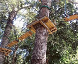 “Live Park”, la concessione è rinnovata