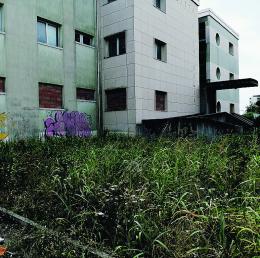 Colonia Turati: futuro incerto