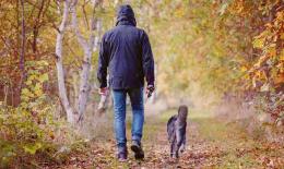 L'autunno non decolla ancora