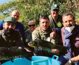 Liberati 500 chili di tinche nei fiumi del Polesine