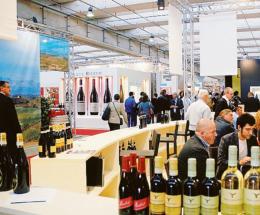 Vinitaly, al via la Special Edition