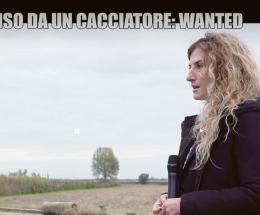 Le Iene cercano chi ha ucciso il cane Tyson