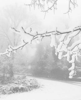Ecco il grande freddo, possibile neve a bassa quota