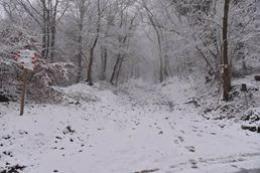 Neve e rischio valanghe, domani precipitazioni in pianura 