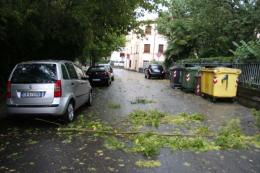 Potente nubifragio si abbatte su piante, alberi e oggetti