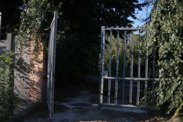 Legna gratis per chi ne ha bisogno, e se la viene a tagliare