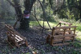 Un giardino della biodiversità 