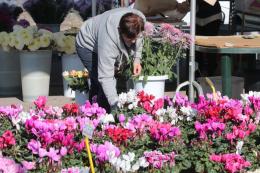 "Settore in crisi, in Polesine in sei hanno già chiuso"