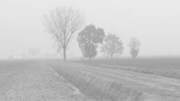 Il Capodanno sarà nebbioso