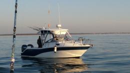 A Porto Tolle pesca tonno rosso "abusivo", multa da 7mila euro