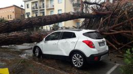 Ebav in campo per l'artigianato