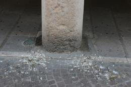 &ldquo;Eliminate il guano dai portici&rdquo;