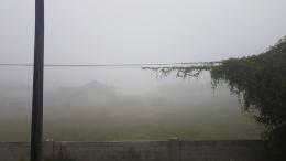 Grigio, nebbia e ancora nebbia 