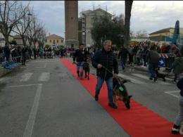 Festa di San Martino con gli amici a quattro zampe 